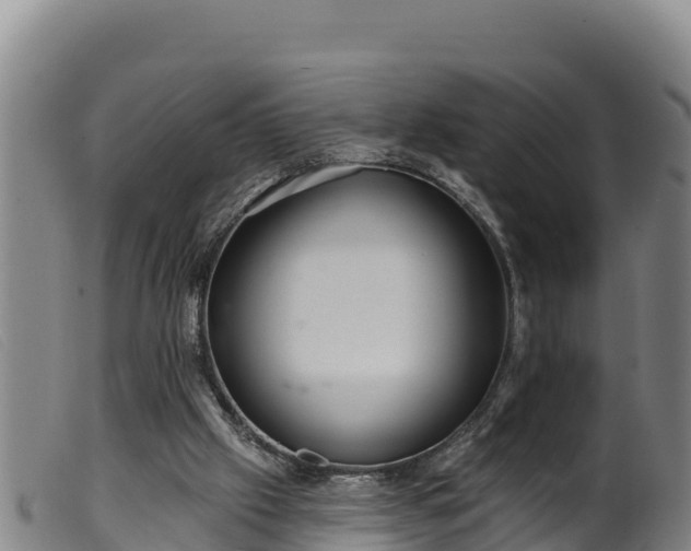 X0000099540057200805231137