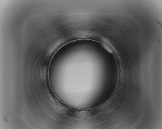 X0000099540058200805231137