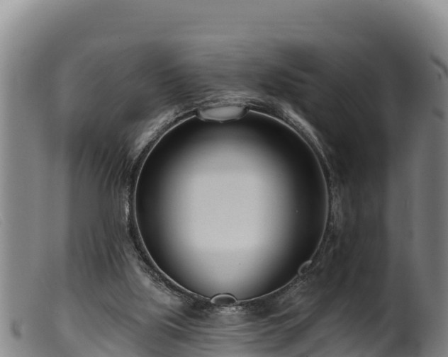 X0000099540059200805231137