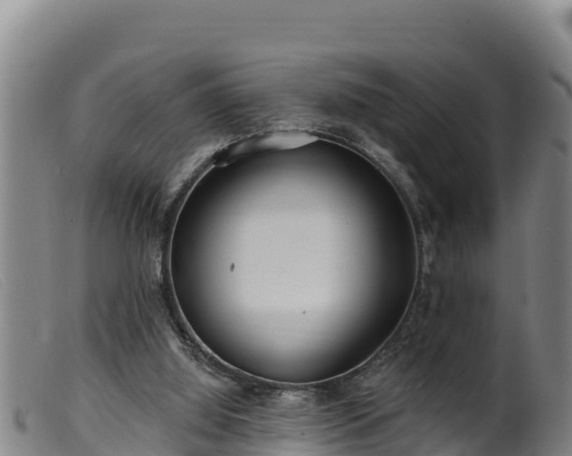 X0000099540060200805231137