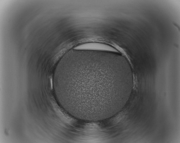 X0000099540061200805231137