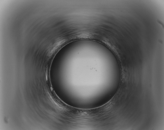 X0000099540062200805231137