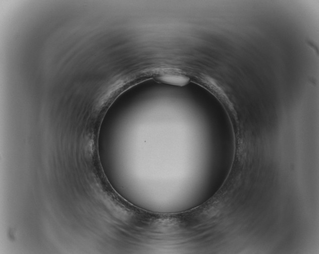 X0000099540063200805231137