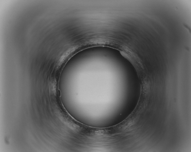 X0000099540064200805231137