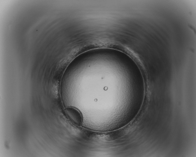 X0000099540065200805231137