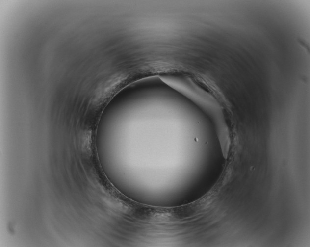 X0000099540066200805231137