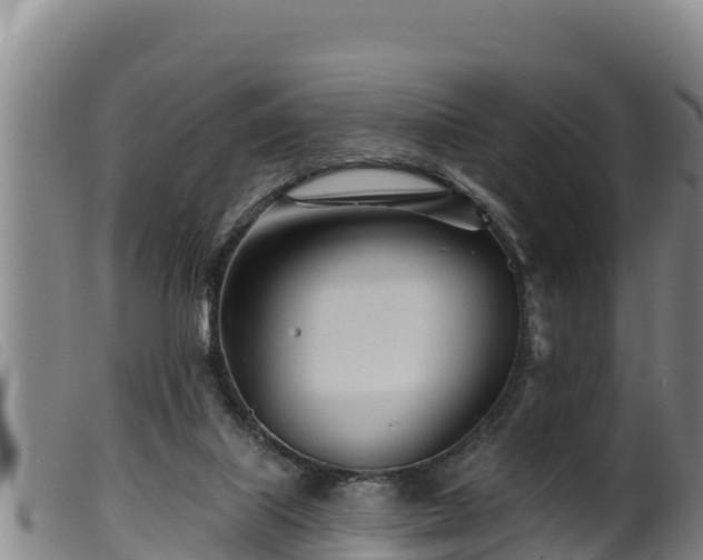 X0000099540067200805231137