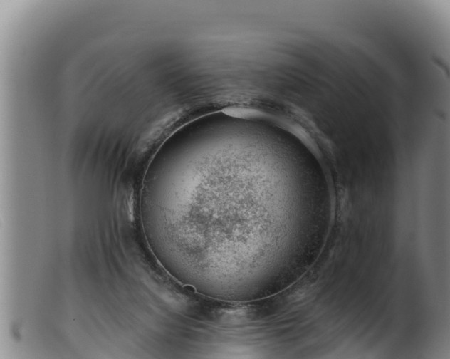 X0000099540068200805231137