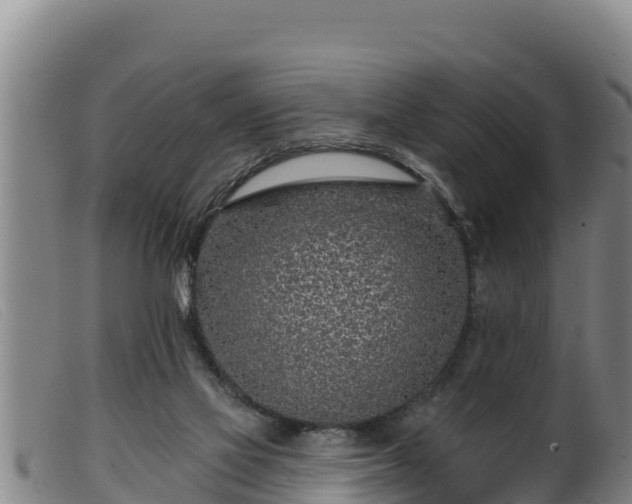 X0000099540069200805231137