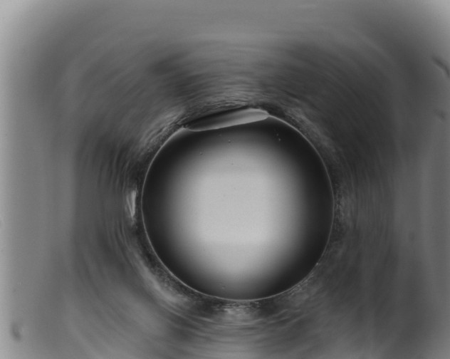 X0000099540070200805231137