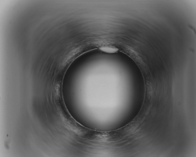 X0000099540071200805231137