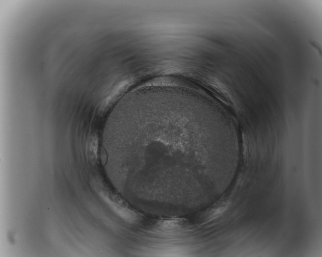 X0000099540072200805231137