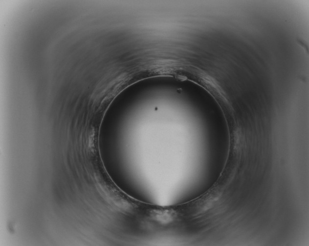 X0000099540073200805231137