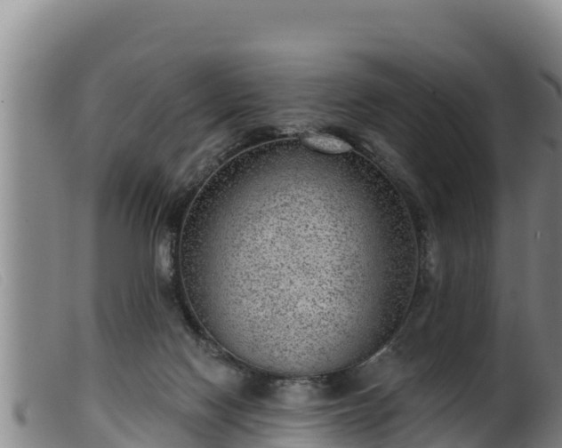 X0000099540074200805231137