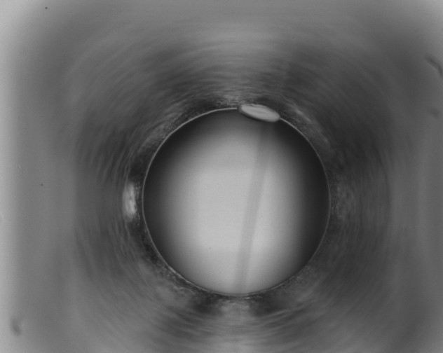 X0000099540075200805231137