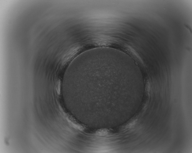 X0000099540076200805231137