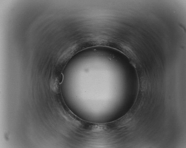 X0000099540077200805231137