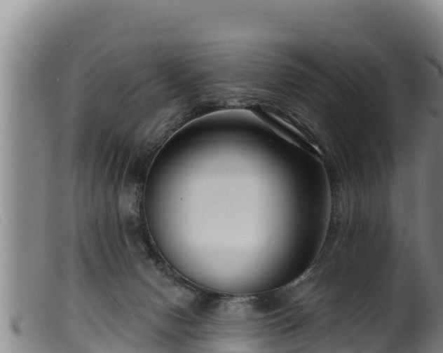 X0000099540078200805231137