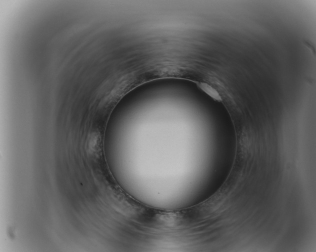 X0000099540079200805231137