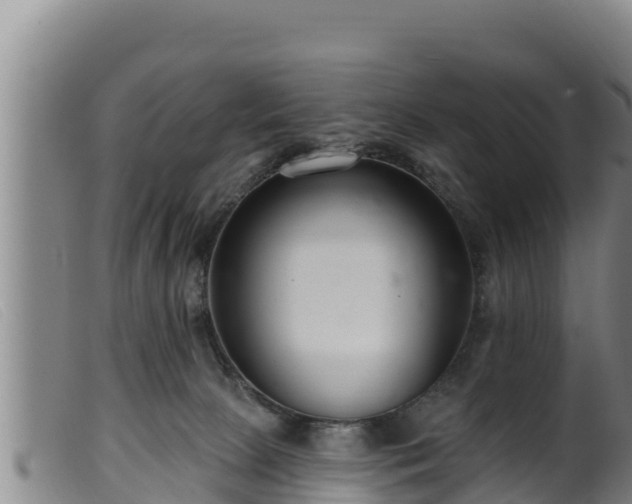 X0000099540081200805231137