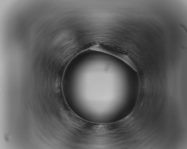 X0000099540082200805231137