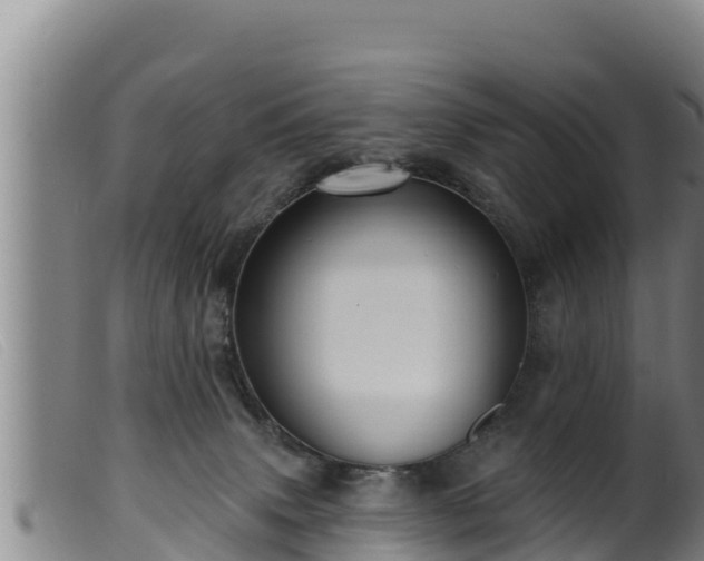 X0000099540083200805231137