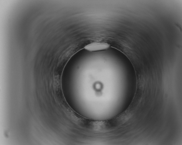 X0000099540085200805231137