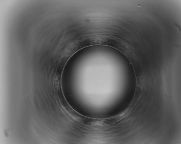 X0000099540086200805231137