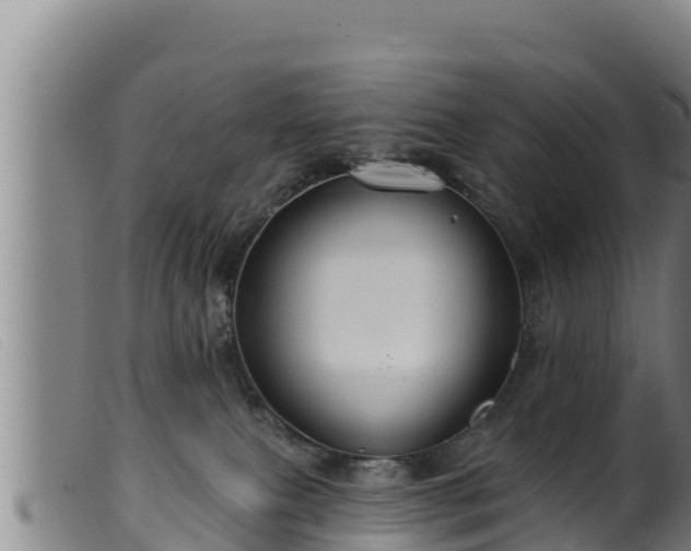 X0000099540087200805231137