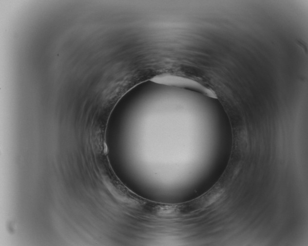 X0000099540088200805231137