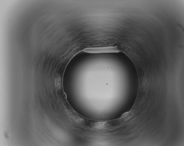 X0000099540090200805231137