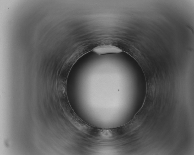 X0000099540091200805231137