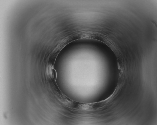 X0000099540094200805231137