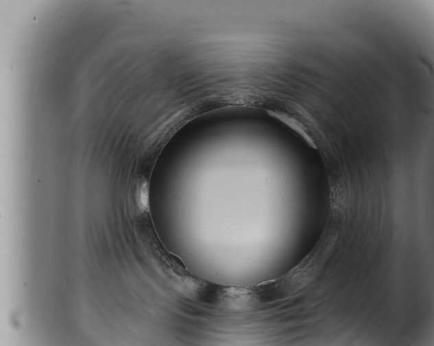 X0000099540095200805231137