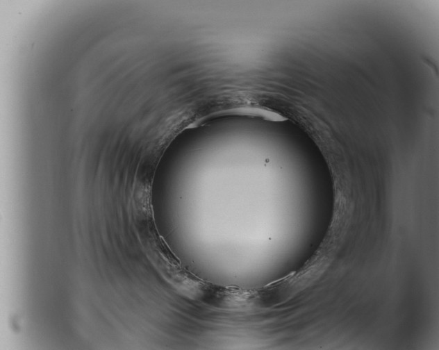 X0000099540096200805231137