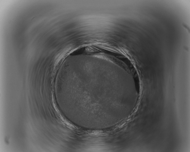 X0000099540097200805231136