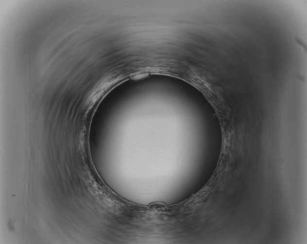 X0000099540098200805231136