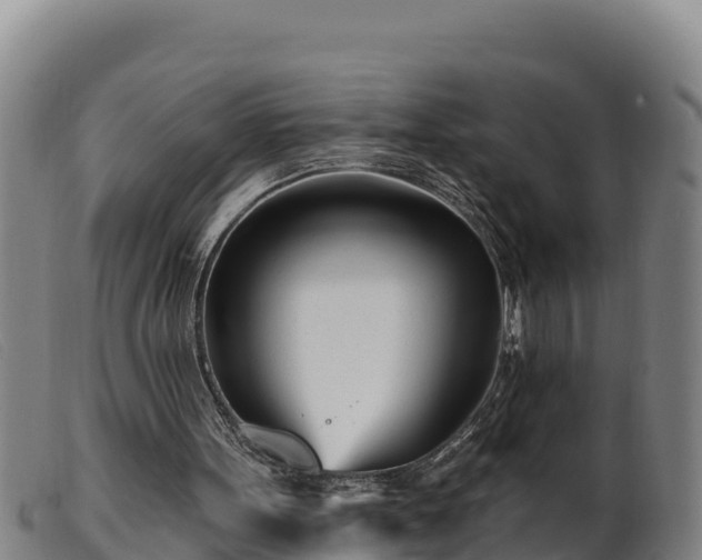 X0000099540099200805231136