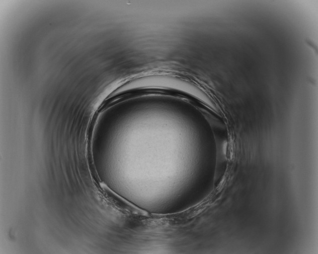 X0000099540100200805231136