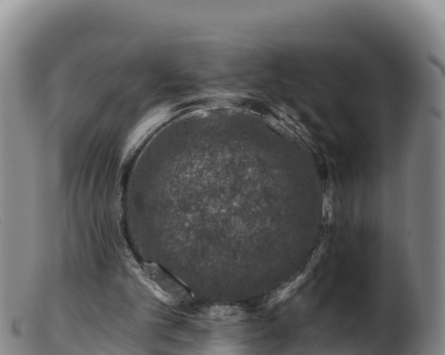 X0000099540101200805231136