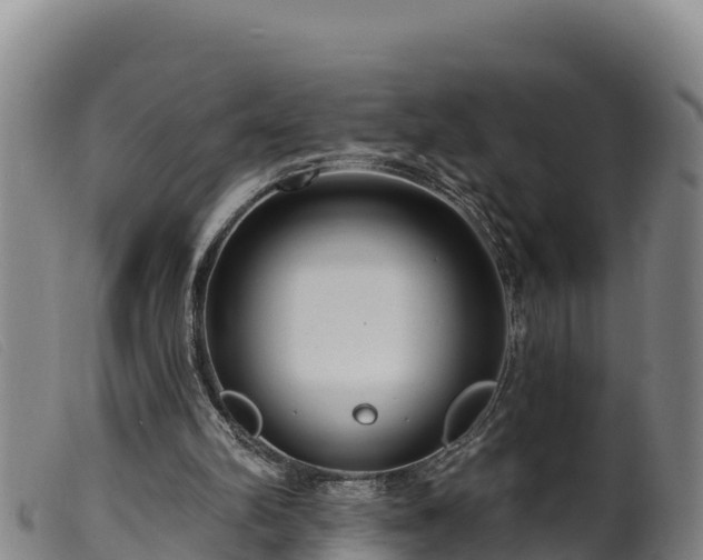 X0000099540102200805231136