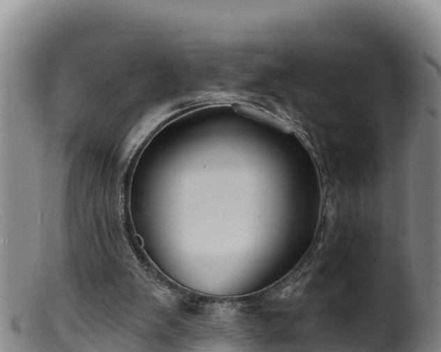 X0000099540103200805231136