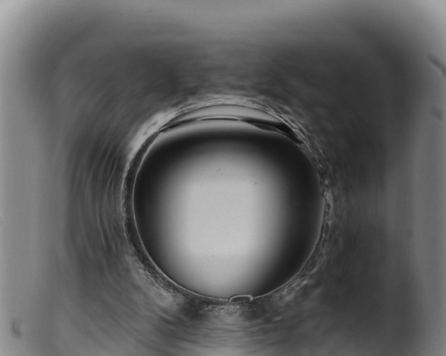 X0000099540104200805231136