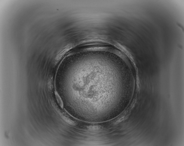 X0000099540105200805231136