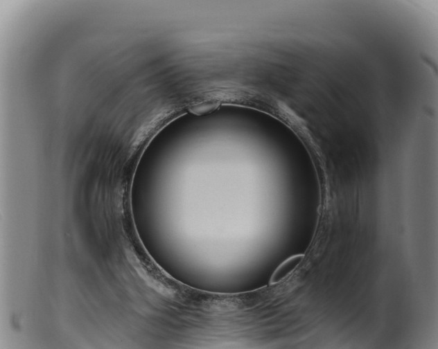 X0000099540106200805231136