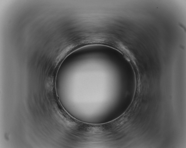 X0000099540107200805231136