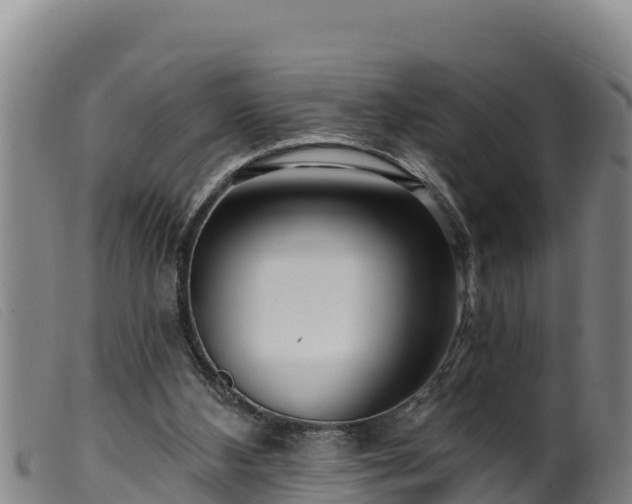 X0000099540108200805231136