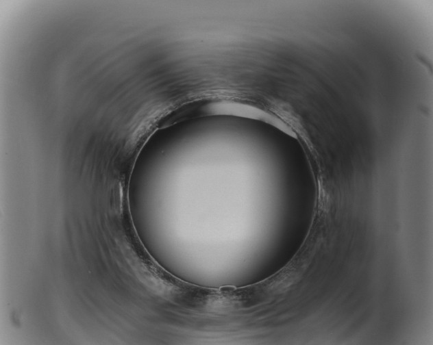 X0000099540109200805231136