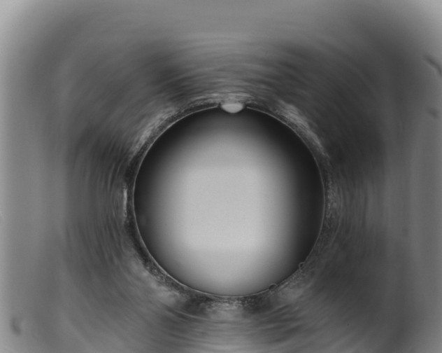 X0000099540110200805231136