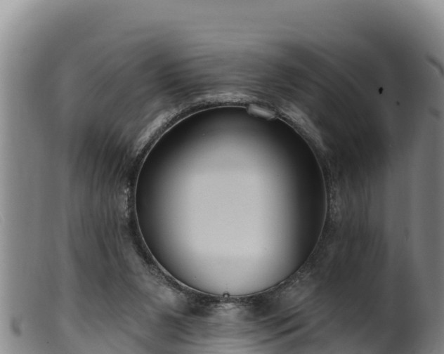 X0000099540111200805231136